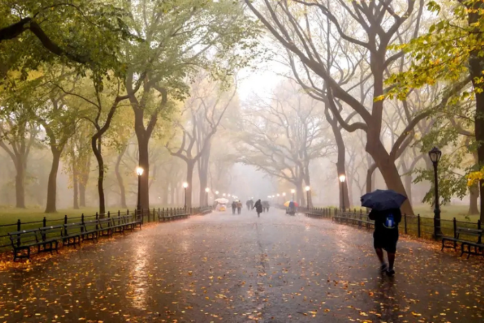How Seasonal Shifts in NYC Weather Can Trigger Headaches